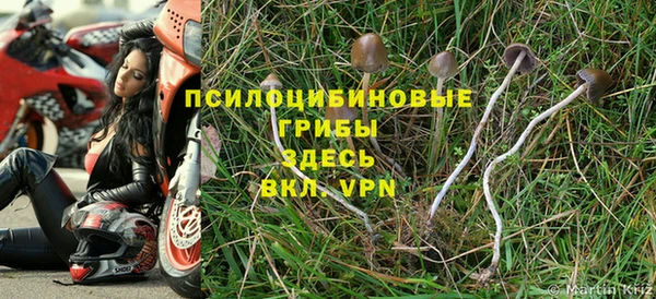 твердый Алзамай