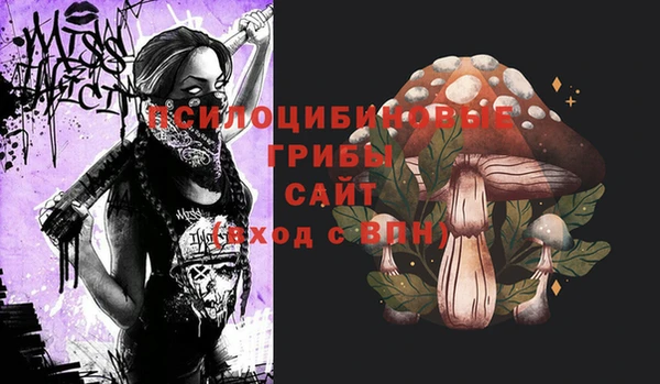 стафф Алексеевка
