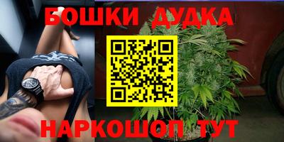герыч Кингисепп