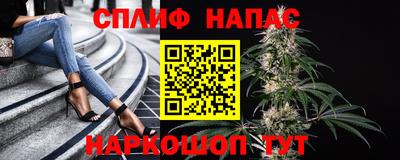 герыч Кингисепп