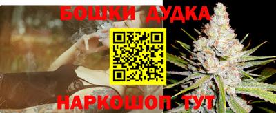 герыч Кингисепп