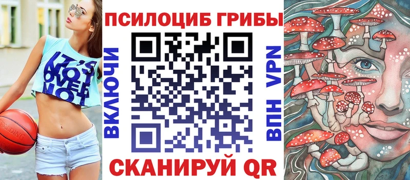 OMG зеркало  Вологда  Псилоцибиновые грибы мухоморы 