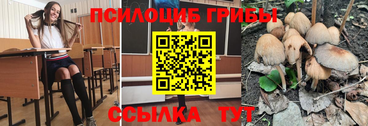 Галлюциногенные грибы мицелий  Галлюциногенные грибы мухоморы  Вход с VPN  Вологда 
